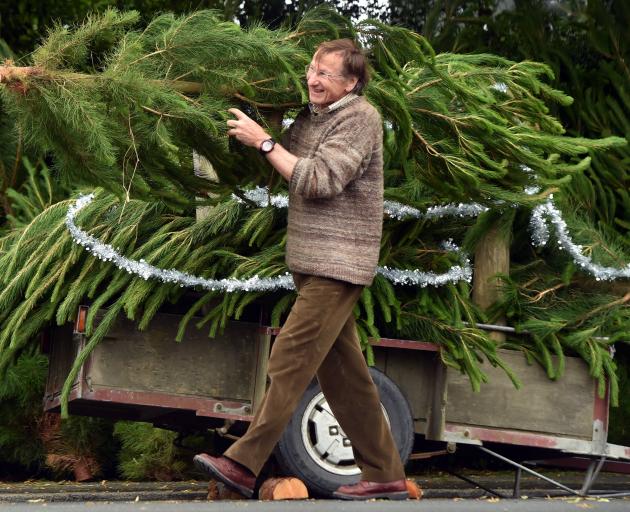 Oxfam Aotearoa volunteer John Cocks carries a fresh Christmas tree in Opoho Rd, Dunedin, on...