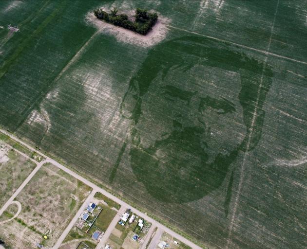 The face of Argentine football great Lionel Messi is depicted in a corn field on the outskirts of...
