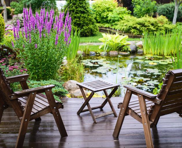 Covering 50% of a pond’s surface with plants such as waterlilies can help keep the temperature of...