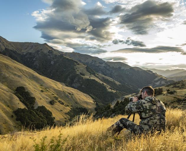 Chris McCarthy looking for red stags. The Lake Hawea hunting guide broke his ankle catching a...
