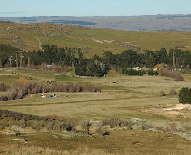 Foulden Maar is a globally significant fossil site. Photo: University of Otago