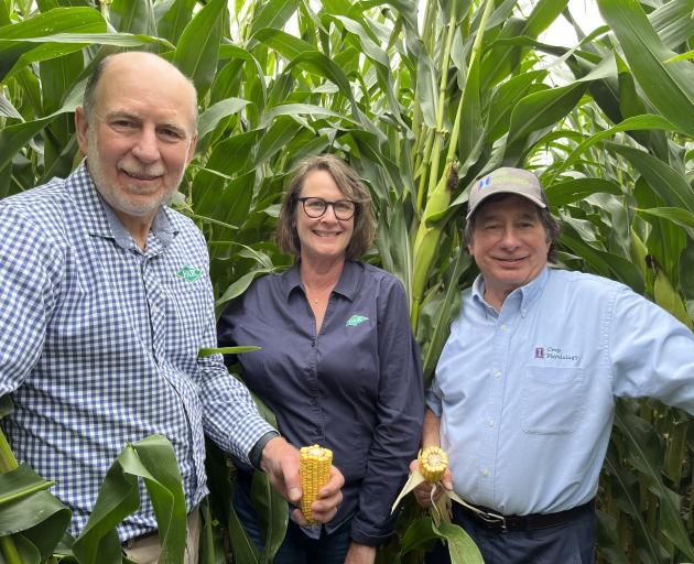 Far senior maize researcher David Densley (left) and communications manager Anna Heslop with...