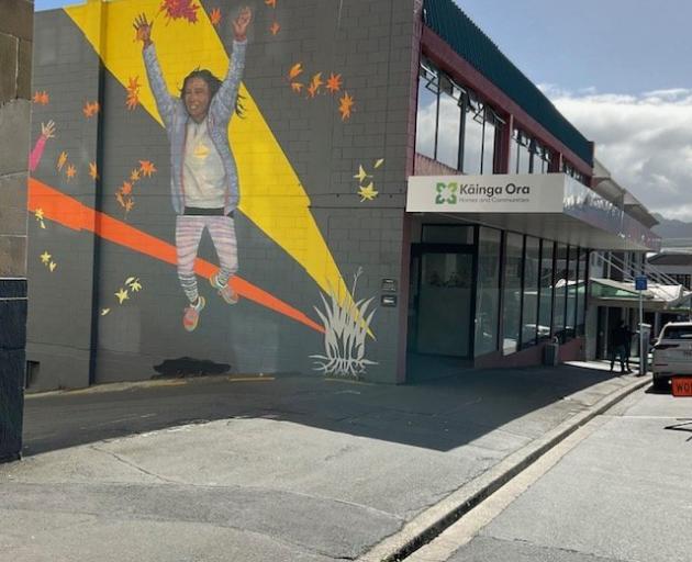 If you were expecting help with social housing, would you look to Kāinga Ora? Or Whānau Ora? Or...