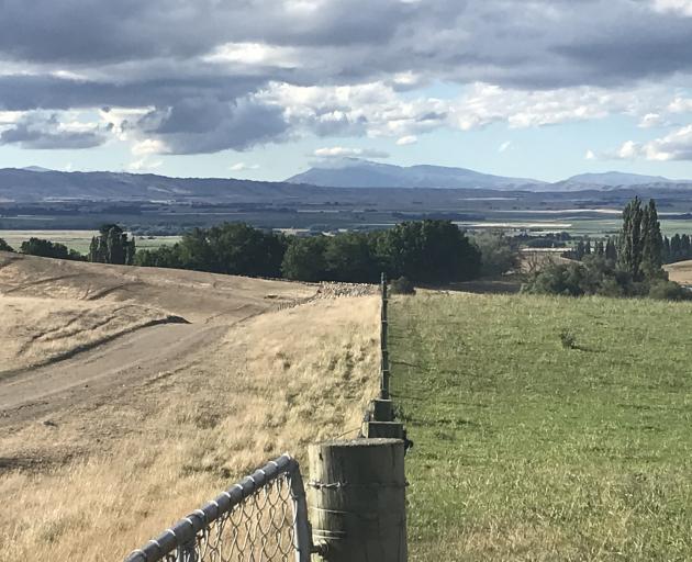 An image showing the difference between dryland and lightly irrigated land in the Maniototo....