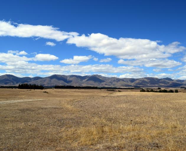 The Maniototo is having a long, hot, dry summer, which is affecting water supplies. PHOTO: ODT FILES