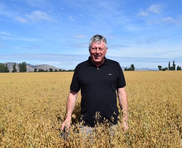 Crop and soils agronomist Gordon Rennie, of Fife in Scotland, stands in a trial crop of oats on a...