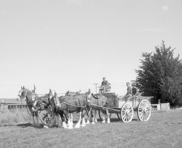 A typical horse-drawn wagon takes part in a vintage machinery display at Tapanui racecourse in...