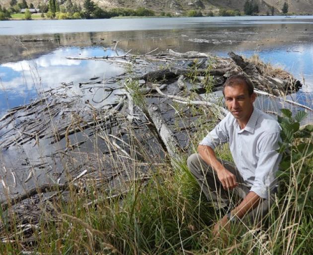 Buildup of detritus along the Kawarau arm foreshore of Lake Dunstan has been an ongoing problem....