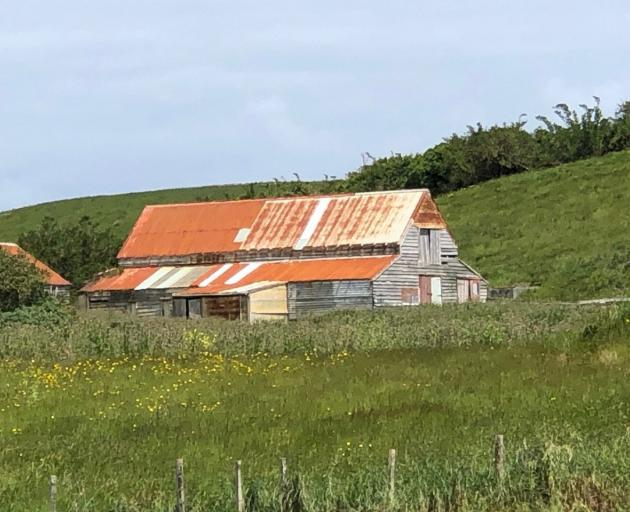 Rolling grassy paddocks with old farm buildings near Waitangi.