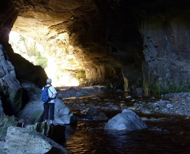 Plans for popular visitor site the Oparara Basin in the Kahurangi National Park, just north of...