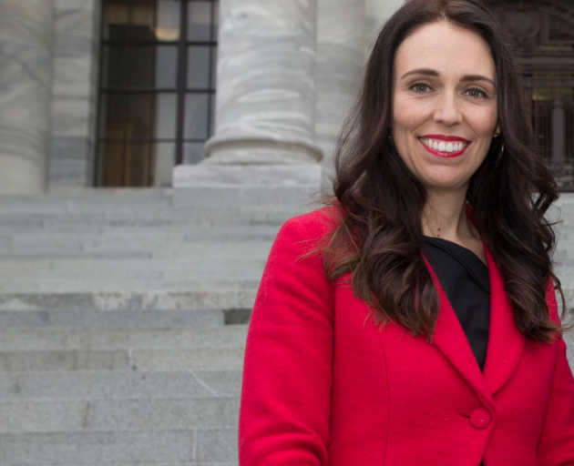 On the steps of Parliament after being named leader of the Labour Party in 2017.  Photo: NZ Herald 
