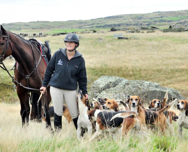 Otago Hunt Club huntsman Jayne Beattie and her horse, Jimmy, prepare for this week’s Hunt Week...