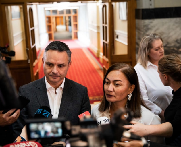 James Shaw and Marama Davidson Photo: RNZ
