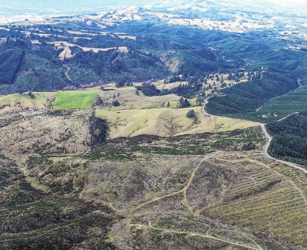 Smooth Hill, site of the proposed landfill. Photo: ODT files