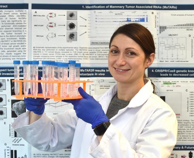 Amaroq Therapeutics founder Dr Sarah Diermeier continues to work on developing new cancer drugs....