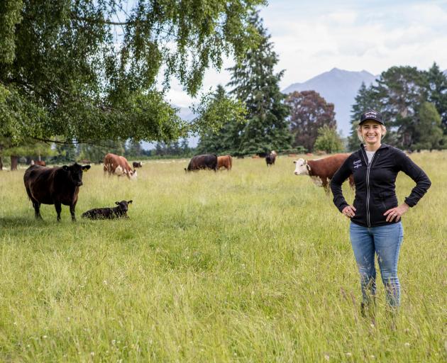 More farmers are joining the Informing New Zealand Beef programme led by scientist Gemma Jenkins....