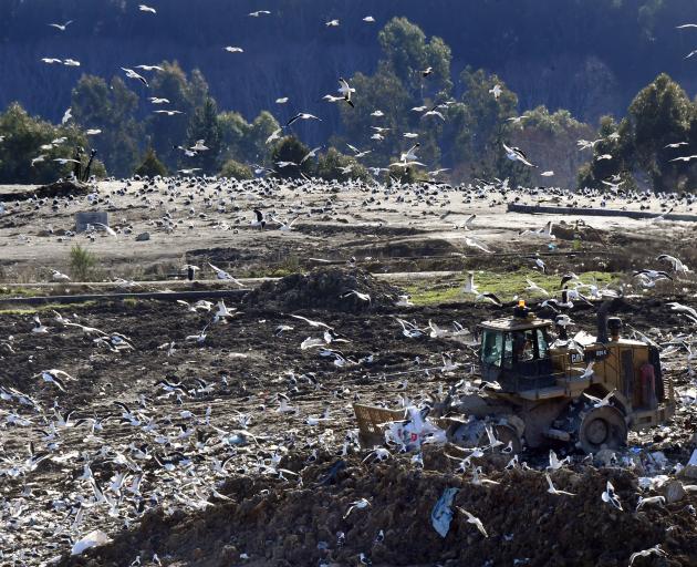 Using the Green Island landfill for another seven years is a cost-effective way to dispose of...