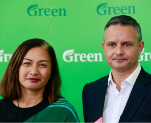 Marama Davidson and James Shaw. Photo: NZ Herald 