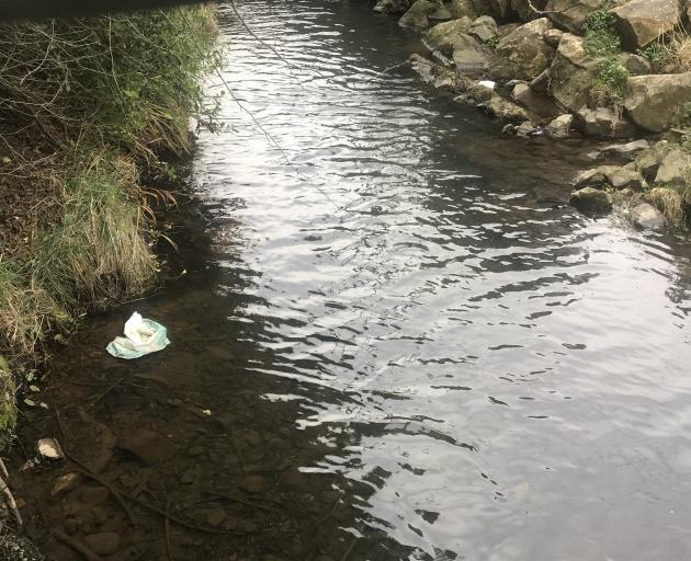 Rubbish in Lindsay Creek, North East Valley, shows why it is on Keep Dunedin Beautiful’s cleanup...