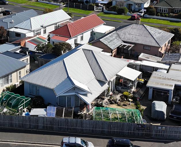 Bird Rescue Dunedin has been told to dismantle its aviaries. PHOTO: STEPHEN JAQUIERY