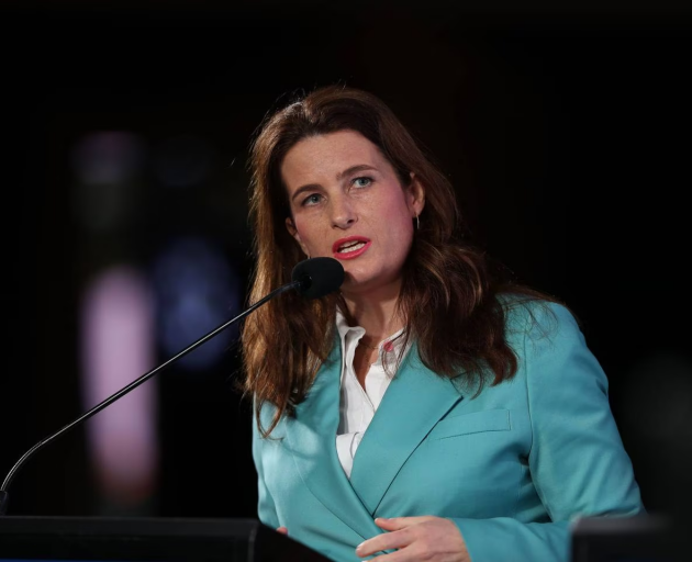 National's finance spokeswoman Nicola Willis. Photo / Michael Craig