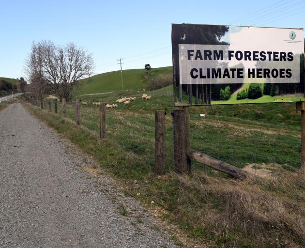 The Clutha District Council is calling for the removal of a New Zealand Farm Forestry Association...
