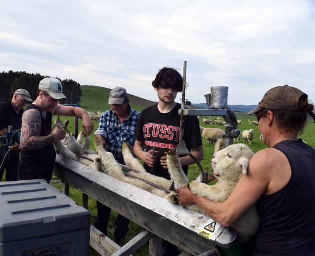 PHOTO: SHAWN MCAVINUE