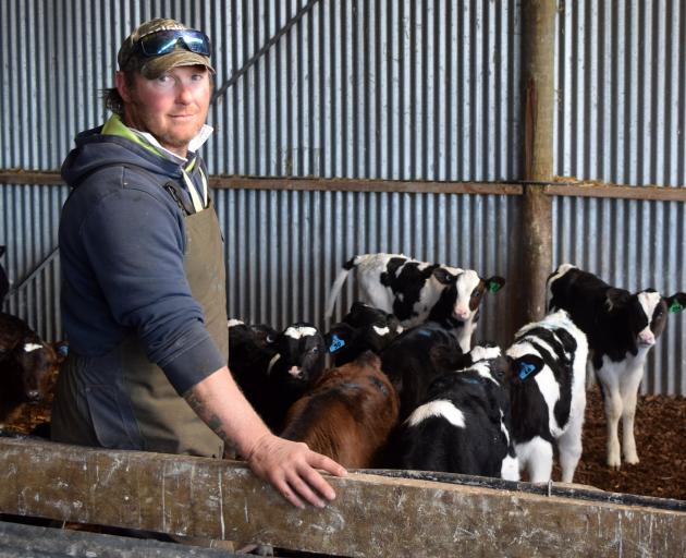 North Otago dairy farmer Geoff Colson is seeing results from DNA testing of calves. PHOTO: SHAWN...