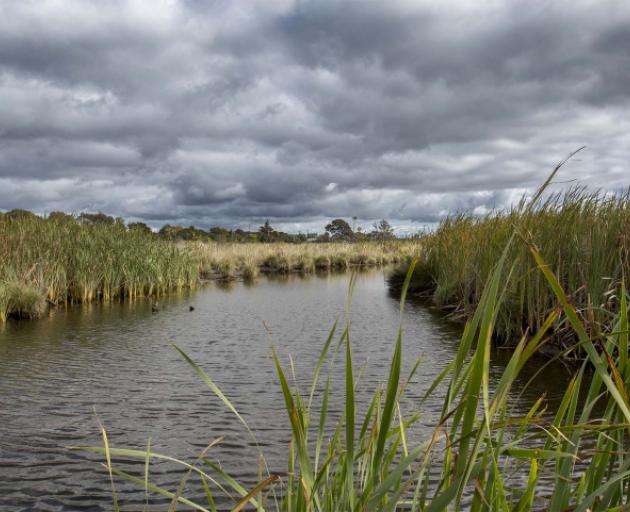 Ōtākaro Avon River Corridor : Newsline.