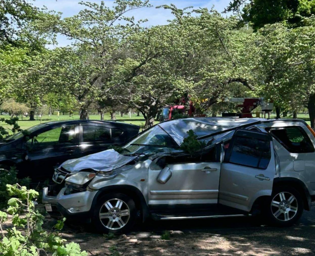 A tree came down on a vehicle at Harper Ave in Hagley Park, Christchurch during severe winds...
