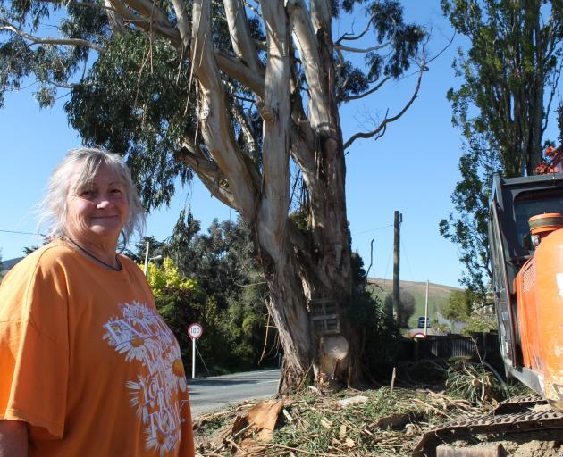 Nicki Stevens watched on as the gum tree outside her home in Clinton was cut down on Monday....