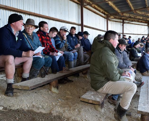 About 100 people attended the Mt Benger Spring Cattle Sale in Teviot Valley.