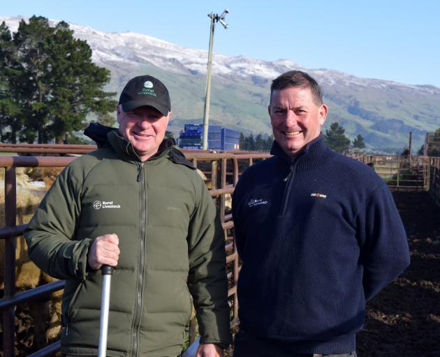 Rural Livestock Central Otago livestock agent Dennis Mullally (left) and Otago livestock manager...
