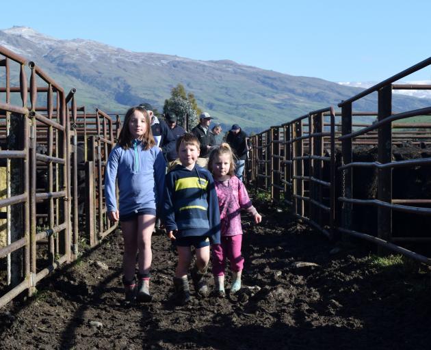 The McCorkindale siblings (from left) Lucy, 9, Robbie, 6, and Josie, 5, all of Ettrick, at the sale.