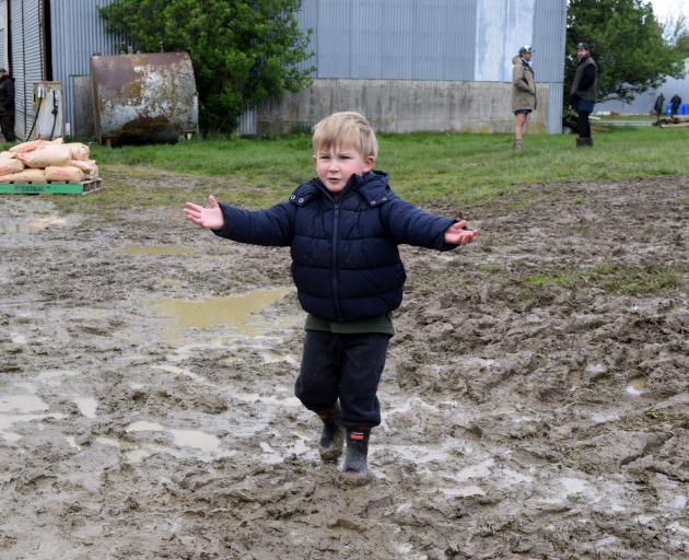 At his grandparents’ clearing sale in Waitane is Henry Nind, 3, of Christchurch. PHOTO: SHAWN...