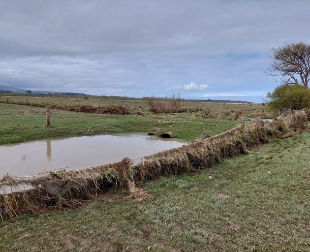 Vegetation clogs a fence on Westwood Farm in Papatotara, near Tuatapere. PHOTO: ANITA ERSKINE