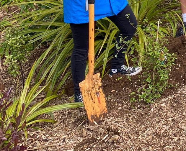 Volunteers are needed for a planting day at Kowhai Reach. PHOTO: ALLIED PRESS FILES