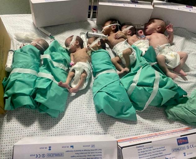 The newborns have captured global attention since images emerged of them lying side by side on...