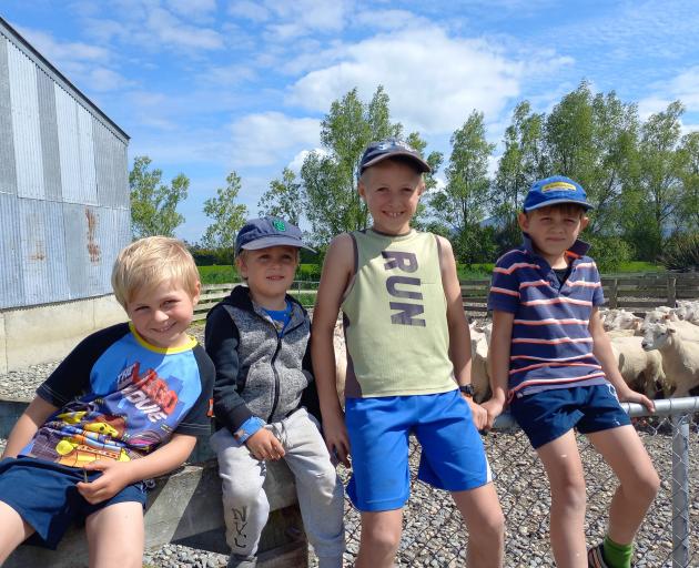 Daniel,Aaron,Hayden, and Nathan Gardyne all enjoy the rural lifestyle, particularly lambing time.
