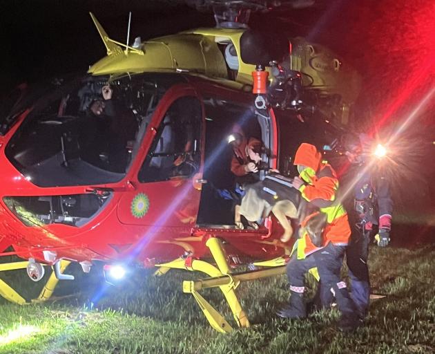 Goose the dog and the Westpac Rescue Helicopter on Mt Peel on Friday. Photo: Police