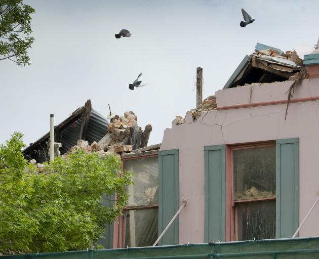 Pigeons scatter during the demolition work yesterday.