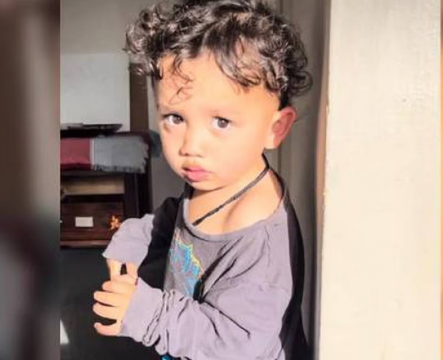 Ruthless-Empire died at Hutt Hospital just days before his second birthday. Photo: supplied