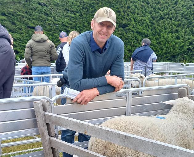 North Otago ram breeder Dave Robertson with some of his Rocket Rams during his sale last week....