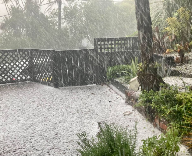 Hail and thunder rattled Wellington about 3pm today, turning streets into rivers and blanketing...