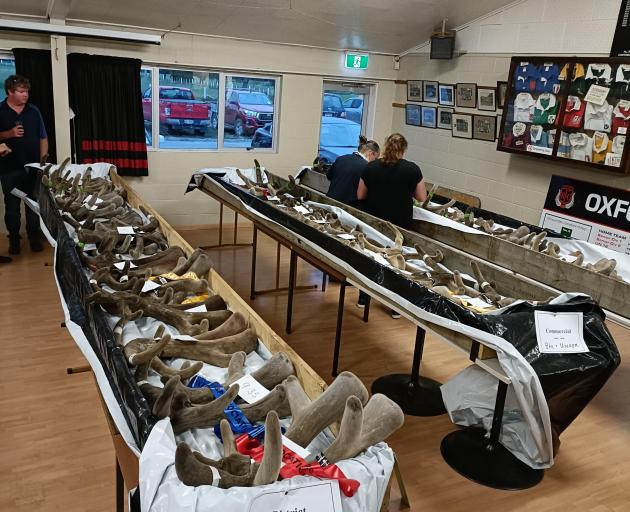 Some of the 58 entries in the Oxford A&P Association velvet competition.