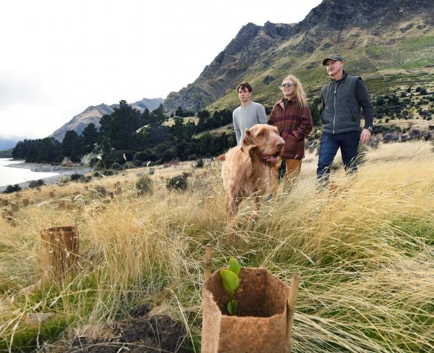 Finn, Justine and Geoff Ross, with Sika the dog, check native plantings on Lake Hawea Station....