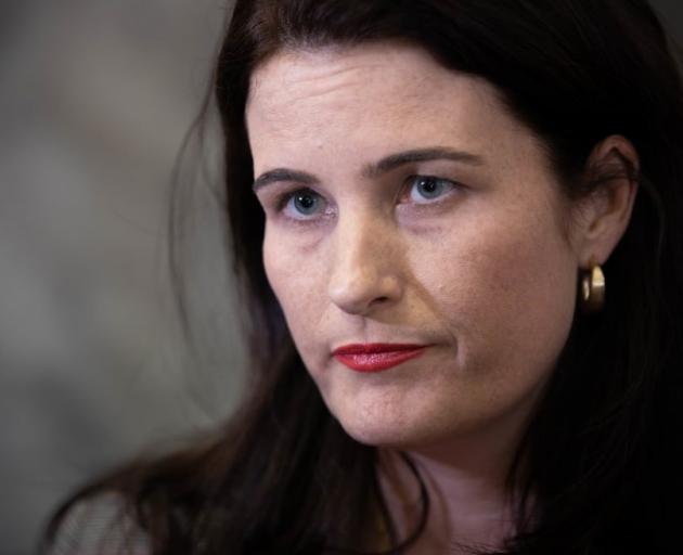Finance Minister Nicola Willis says there needed to be a solution that was "value for money"....