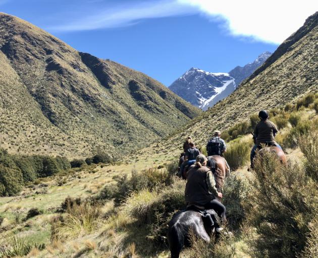 Wairio Hack Club members ride horses to Beech and Cowshed huts to restore horse paddocks in the...