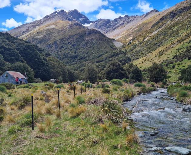 A horse paddock at Cowshed Hut in the Eyre Mountains has been restored.