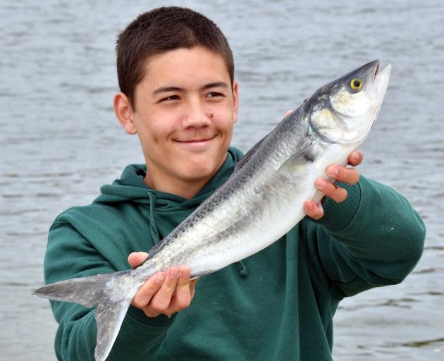 Oscar Ung and the fish he caught at Taieri Mouth yesterday.